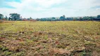 Foto 20 de Lote/Terreno à venda, 20000m² em Ponte Alta, Jarinu