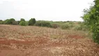 Foto 29 de Lote/Terreno para alugar, 24200m² em Vila Nova, Piracicaba