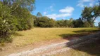 Foto 30 de Lote/Terreno à venda em Centro, Flores da Cunha