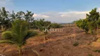 Foto 30 de Fazenda/Sítio com 3 Quartos à venda, 150m² em Zona Rural, Anápolis