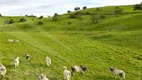 Foto 27 de Fazenda/Sítio à venda, 6000000m² em Centro, Água Preta