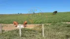 Foto 33 de Fazenda/Sítio com 2 Quartos à venda, 84m² em Centro, Caçapava