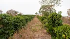 Foto 4 de Fazenda/Sítio com 4 Quartos à venda, 120000m² em , Muzambinho