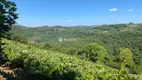 Foto 19 de Lote/Terreno à venda, 150000m² em Vale dos Vinhedos, Bento Gonçalves