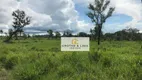 Foto 10 de Fazenda/Sítio com 5 Quartos à venda, 500m² em Zona Rural, Recursolândia