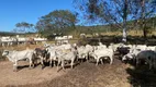 Foto 13 de Fazenda/Sítio à venda em Centro, São Miguel do Passa Quatro