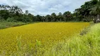 Foto 47 de Fazenda/Sítio com 4 Quartos à venda, 600m² em Jockey Camping, Uberlândia