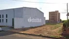 Foto 2 de Lote/Terreno à venda, 250m² em Luizote de Freitas, Uberlândia