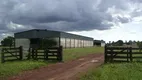 Foto 15 de Fazenda/Sítio com 3 Quartos à venda, 85m² em Zona Rural, São Félix do Araguaia