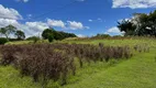 Foto 2 de Fazenda/Sítio com 5 Quartos à venda, 484000m² em Centro, Pariquera-Açu