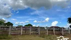Foto 13 de Fazenda/Sítio à venda em Bairro Rural, Novo Planalto