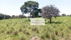 Foto 21 de Fazenda/Sítio com 9 Quartos à venda, 500m² em Zona Rural, Araguacema