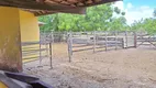 Foto 6 de Fazenda/Sítio com 3 Quartos à venda, 125000m² em Povoado Punau, Rio do Fogo