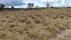 Foto 31 de Fazenda/Sítio com 3 Quartos à venda, 18m² em Zona Rural, Cocalzinho de Goiás