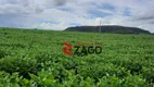 Foto 9 de Fazenda/Sítio à venda, 2695880m² em Zona Rural, Prata