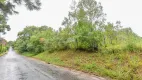 Foto 5 de Lote/Terreno à venda, 3040m² em Parque das Nascentes, Pinhais
