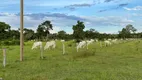 Foto 21 de Fazenda/Sítio à venda, 609m² em Zona Rural, Poconé