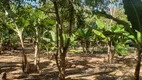 Foto 29 de Fazenda/Sítio com 4 Quartos à venda, 30000m² em Planaltina, Brasília