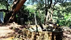 Foto 28 de Fazenda/Sítio com 3 Quartos à venda, 100m² em Zona Rural, Caldazinha