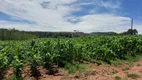 Foto 13 de Fazenda/Sítio com 5 Quartos à venda, 297660m² em Area Rural, São Sebastião do Paraíso