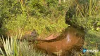 Foto 2 de Fazenda/Sítio com 2 Quartos à venda, 110m² em Zona Rural, Campo Grande