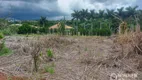 Foto 8 de Fazenda/Sítio com 1 Quarto à venda, 3850m² em Zona Rural, Marialva
