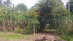 Foto 48 de Fazenda/Sítio com 4 Quartos à venda, 710m² em Madressilva Bacaxa, Saquarema