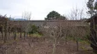 Foto 4 de Fazenda/Sítio à venda, 27418m² em Serra Grande Alema, Gramado
