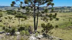 Foto 3 de Fazenda/Sítio à venda, 20000m² em Vacas Gordas, Urubici