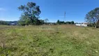 Foto 2 de Lote/Terreno à venda em São Ciro, Caxias do Sul