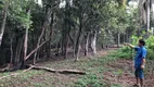 Foto 53 de Lote/Terreno à venda, 130000m² em dos Pires Caucaia do Alto, Cotia