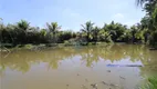 Foto 34 de Fazenda/Sítio com 3 Quartos à venda, 400m² em Centro, Limeira