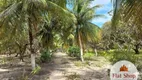 Foto 24 de Fazenda/Sítio com 4 Quartos à venda, 18110m² em Centro, Caucaia