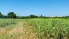 Foto 10 de Fazenda/Sítio à venda, 230000m² em Parque dos Artistas Rio do Ouro, Magé