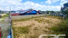 Foto 4 de Lote/Terreno à venda, 364m² em Praia do Ervino, São Francisco do Sul