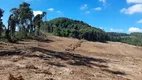 Foto 2 de Fazenda/Sítio à venda, 196000m² em Centro, Campo do Tenente