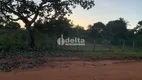 Foto 10 de Fazenda/Sítio à venda, 5000m² em Panorama, Uberlândia