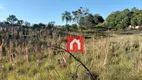 Foto 15 de Fazenda/Sítio com 2 Quartos à venda, 120m² em Zona Rural, Caxias do Sul