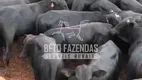 Foto 8 de Fazenda/Sítio à venda, 35000000m² em Zona Rural, Manga