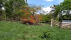 Foto 5 de Fazenda/Sítio à venda, 400000m² em Setor Central, Pires do Rio