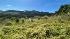 Foto 28 de Lote/Terreno à venda, 20000m² em Faria Lemos, Bento Gonçalves