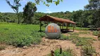 Foto 10 de Fazenda/Sítio com 2 Quartos à venda, 230000m² em Zona Rural, Hidrolândia