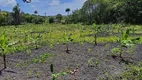 Foto 12 de Fazenda/Sítio à venda, 14000m² em , Rio do Fogo