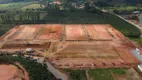 Foto 4 de Lote/Terreno à venda, 300m² em Vila Do Salto, Luiz Alves