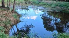 Foto 8 de Fazenda/Sítio com 1 Quarto à venda, 7800m² em Campo Largo da Roseira, São José dos Pinhais