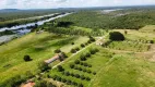 Foto 10 de Fazenda/Sítio à venda, 177790000m² em , Barra