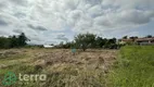 Foto 6 de Lote/Terreno à venda, 662m² em Araponguinhas, Timbó