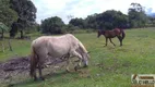 Foto 4 de Fazenda/Sítio com 3 Quartos à venda, 102000m² em Citrolândia, Guapimirim