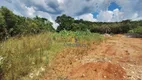 Foto 4 de Fazenda/Sítio à venda, 4000m² em São Dimas, Colombo