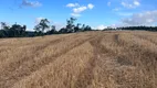 Foto 5 de Fazenda/Sítio com 2 Quartos à venda, 1016400m² em Zona Rural, Rio Negrinho